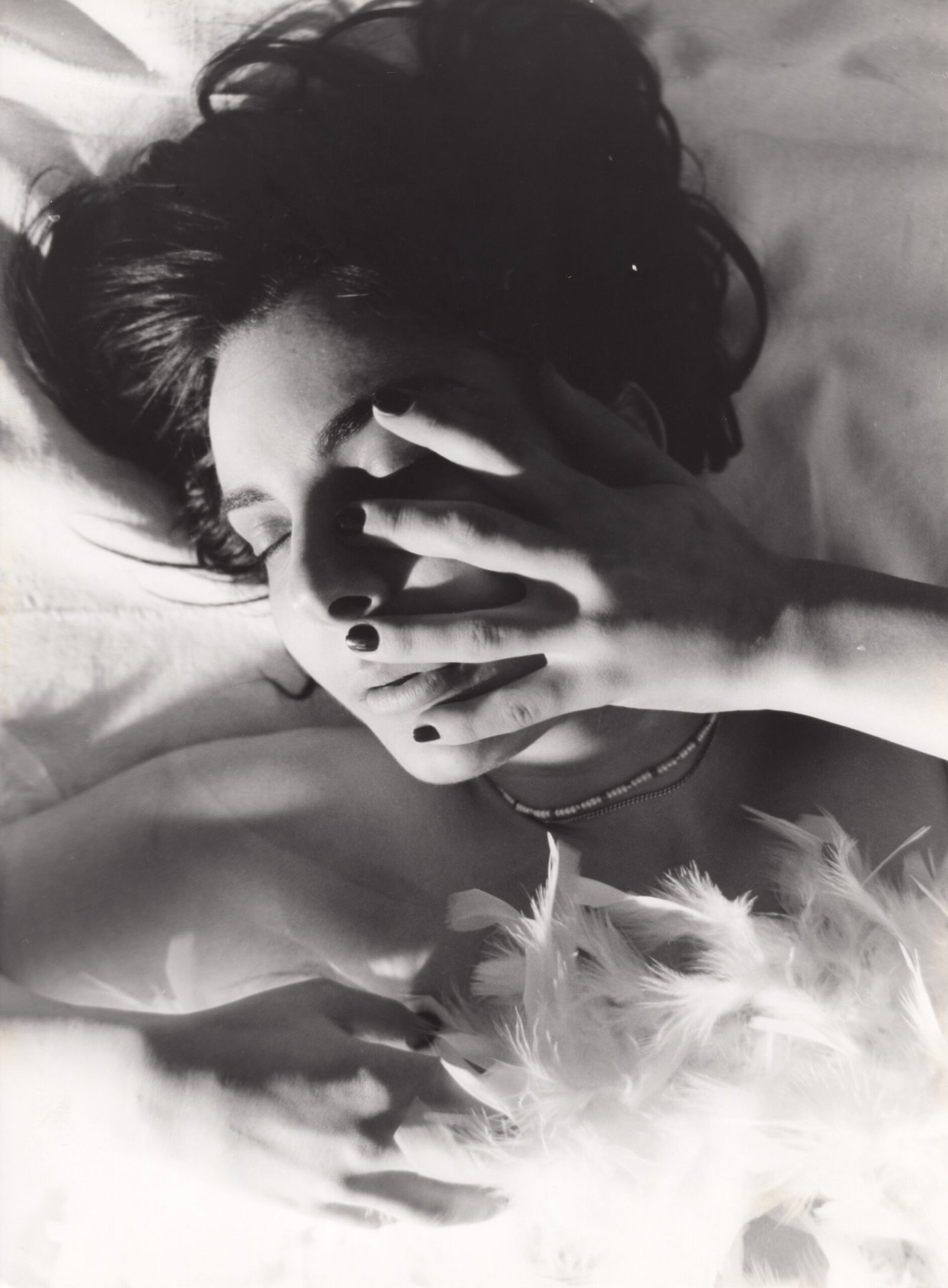 FA OLD PIC WHITE FEATHER